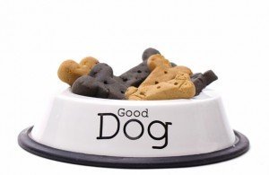 dog_bowl_treats_biscuits