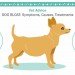 Cartoon of dog with Bloat information