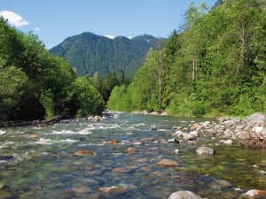 Pacific-Parklands-Foundation-Our-Parks-Lynn-Headwaters