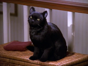 Salem